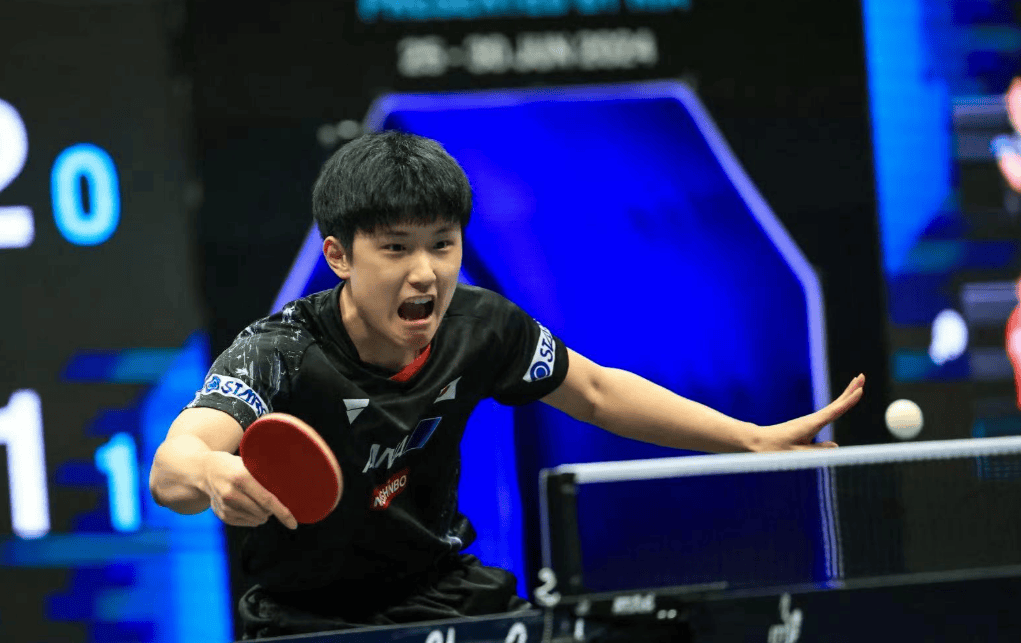 德国选手赢得乒乓球比赛冠军的简单介绍