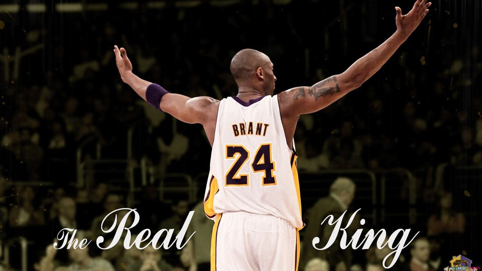 赛道与球场的双重奏，保罗的F1首胜与广厦的压哨绝杀